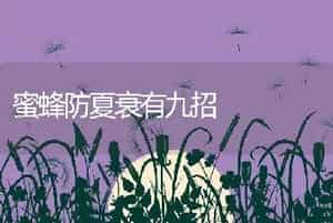 夏季牛蛙养殖要点