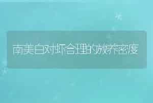 鱼粉的品质鉴定与掺假识别