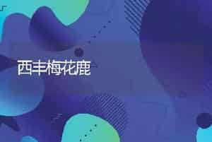 西丰梅花鹿
