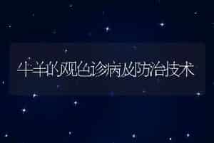 牛羊的观色诊病及防治技术