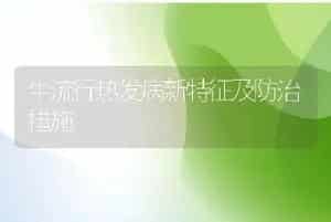 牛流行热发病新特征及防治措施