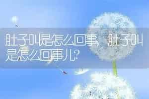 肚子叫是怎么回事，肚子叫是怎么回事儿？