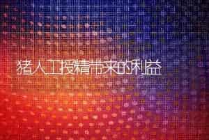 龟背竹的养护知识