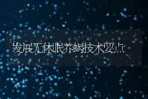 糟牛肥育技术（上）