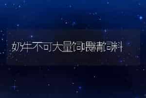 奶牛不可大量饲喂精饲料