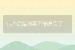 有些青草野菜不能喂兔子