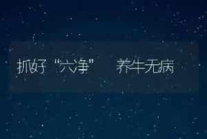 抓好“六净” 养牛无病