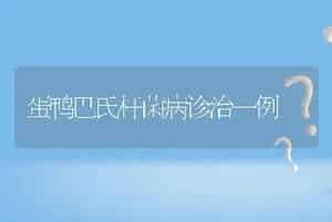 如何识别奶牛胎