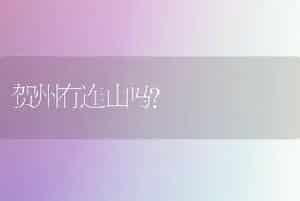 贺州有连山吗？