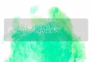 池塘单养梭鱼技术