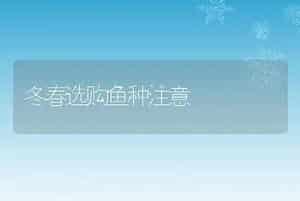 冬春选购鱼种注意