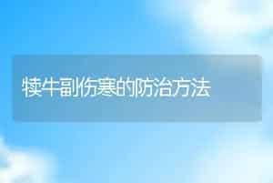犊牛副伤寒的防治方法