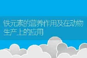 铁元素的营养作用及在动物生产上的应用