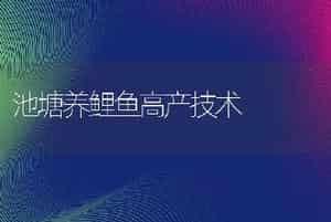 池塘养鲤鱼高产技术