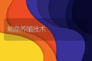 鲍鱼养殖技术