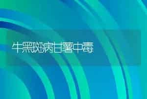 牛黑斑病甘薯中毒