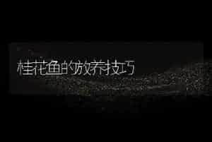 桂花鱼的放养技巧