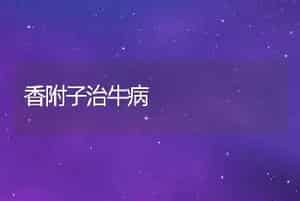 香附子治牛病