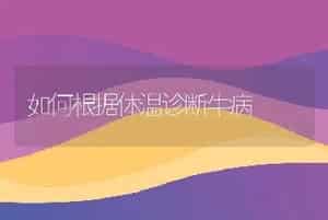 如何根据体温诊断牛病