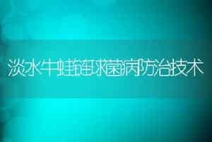淡水牛蛙链球菌病防治技术