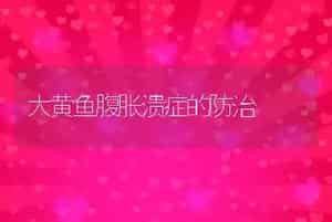 大黄鱼腹胀溃症的防治
