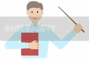 金丝熊多久成年？