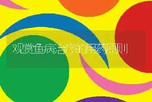 观赏鱼病治疗的用药原则