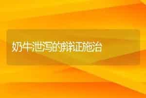 奶牛泄泻的辩证施治