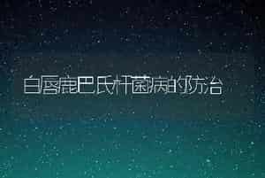 白唇鹿巴氏杆菌病的防治