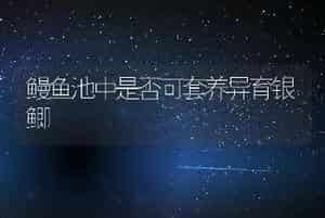 鳗鱼池中是否可套养异育银鲫