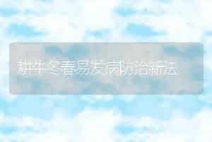 耕牛冬春易发病防治新法