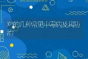 炮弹鱼交配、产卵的前兆是什么