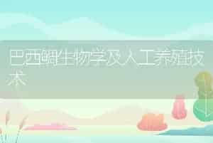 巴西鲷生物学及人工养殖技术