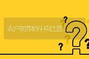 农户初养奶牛应注意
