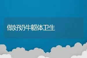 做好奶牛躯体卫生