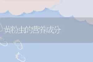 黄粉虫的营养成分