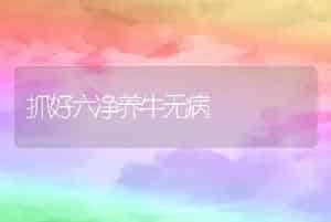 抓好六净养牛无病