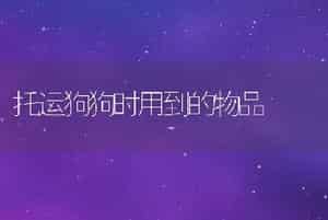 托运狗狗时用到的物品
