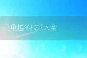 乌龟越冬技术大全