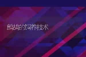 嫩北推广奶牛性控冻精技术