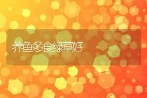 养鱼多食绿草好