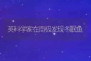 英科学家在南极发现冬眠鱼