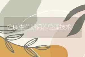 公鹿生茸期饲养管理技术