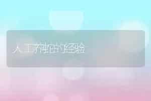 人工养蛇的经验