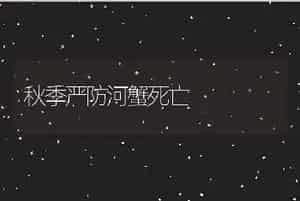 浅述肥母牛综合征