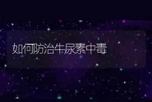 如何防治牛尿素中毒