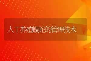人工养殖蝮蛇的管理技术