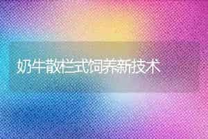 奶牛散栏式饲养新技术