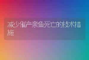 减少催产亲鱼死亡的技术措施