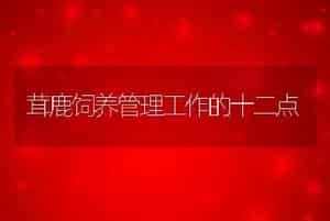 茸鹿饲养管理工作的十二点